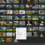 file--list-view-2.jpg
